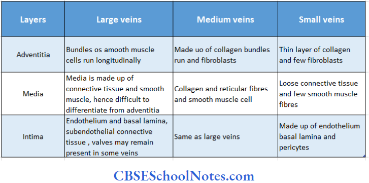 Circulatory System Comparison Between Various Type Of Veins