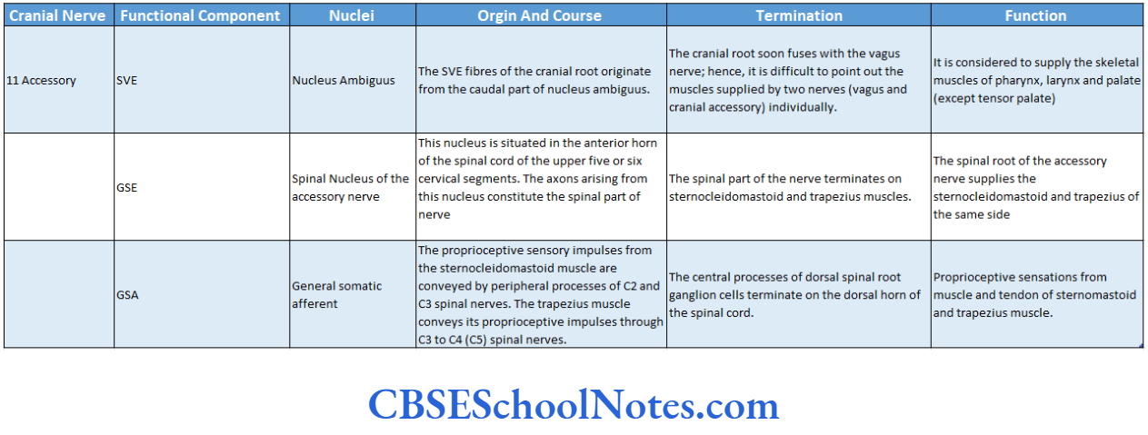 Cranial Nerve Nuclei And Functional Aspects Accessory 11 Cranial Nerve Functional Components, Nuclei Origin Course And Termination Of Nuclear fibres And Functions