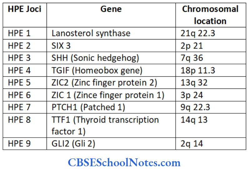 Genetics In Dentristry Genetics Of Craniofacial Disorders And Syndrome Genetics of HPE