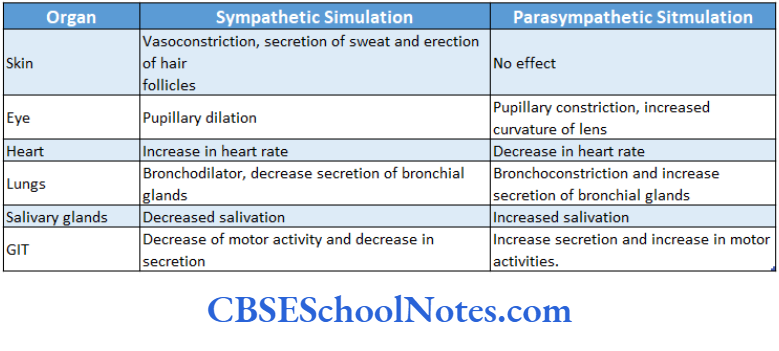Automomic Nervous System Effects Of Sympathetic And Parasympathetic Sitmulation On Different Organs
