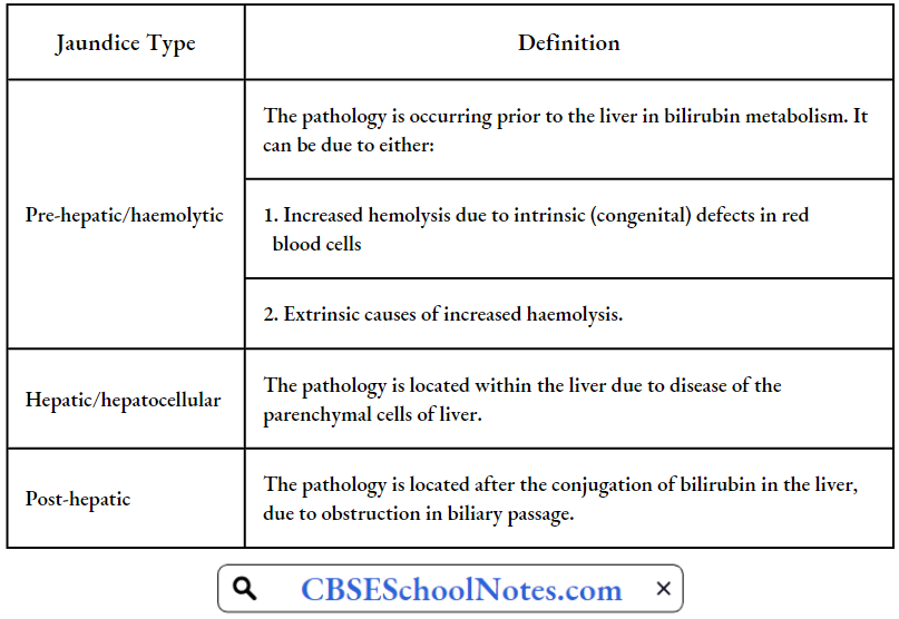 Disorders Of the Gastrointestinal System Jaundice Types And Definations
