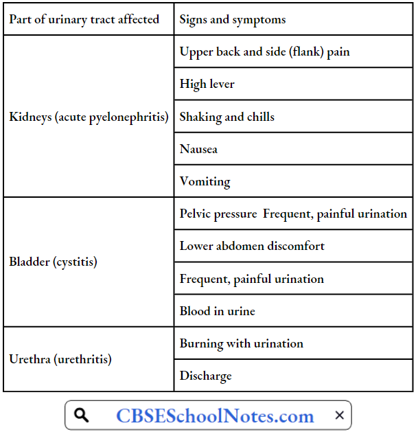 Infectious Diseases Parts Of Urinary Tract