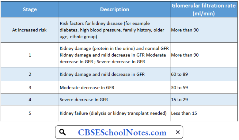 Stages Of Chronic Kidney Disease