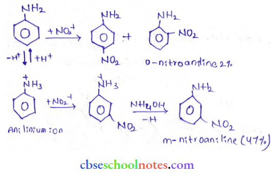 Amine Aniline Ion And M Nitroaniline
