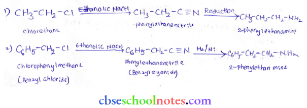 Amine Chemical Equations Of The Conversion