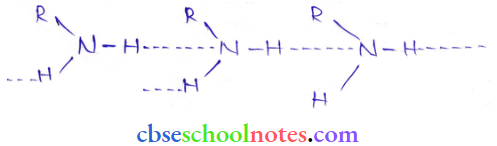 Amine Higher Boling Point Than Tertiary Amines