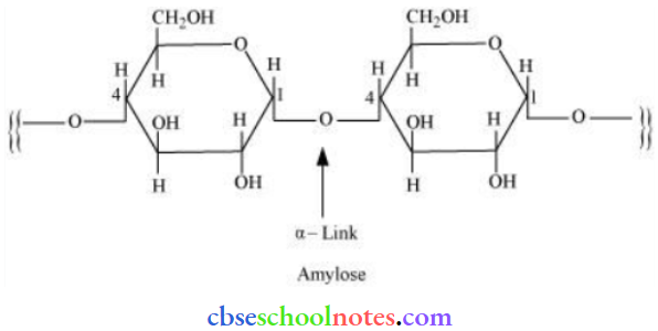 Biomolecules Basic Steructural Difference Between Starch And Cellulose 1