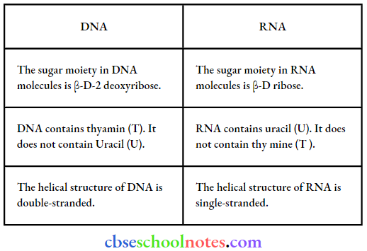 Biomolecules Structural Difference Between DNA And RNA