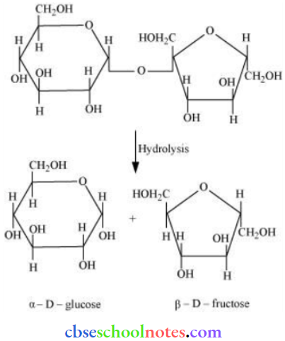 Biomolecules The Hydrolysis Production Of Sucrose And Lactose 1