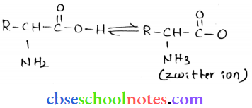 Biomolecules Zwitter Ion