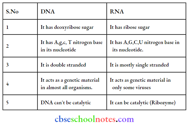 Biotechnology Principles And Processes DNA And RNA