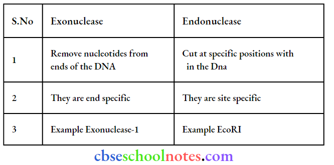 Biotechnology Principles And Processes Exonuclease And Endonuclease