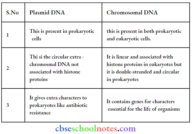Biotechnology Principles And Processes Plasmid DNA And Chromosomal DNA