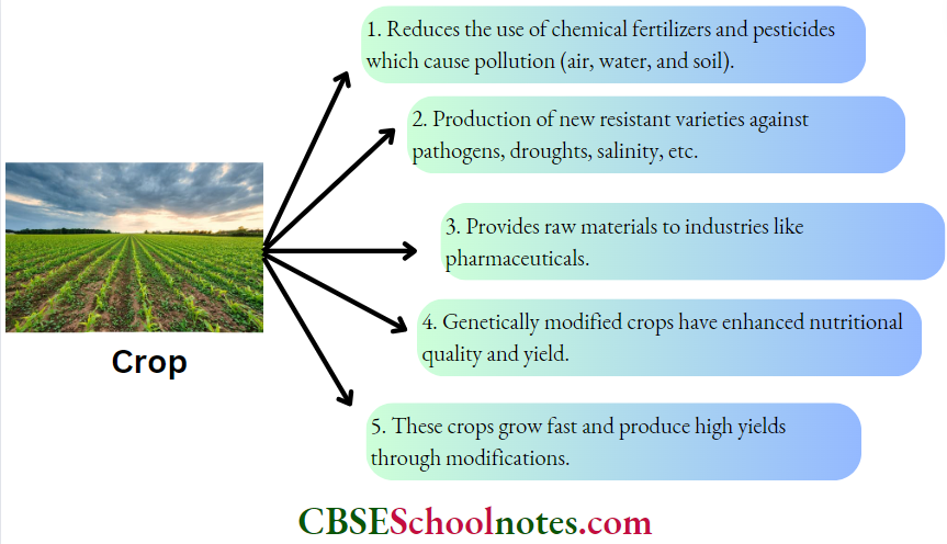 CBSE Class 12 Biology Chapter 10 Biotechnology And Its Applications Advantages Of Crop