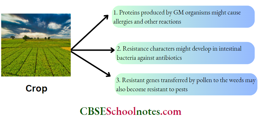 CBSE Class 12 BioIogy Chapter 10 Biotechnology And Its Applications Disadvantages Of Crop