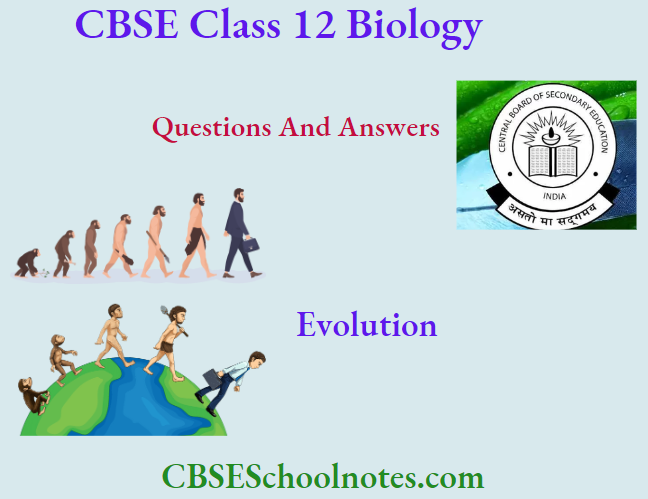 CBSE Class 12 BioIogy Chapter 12 Evolution Questions And Answers