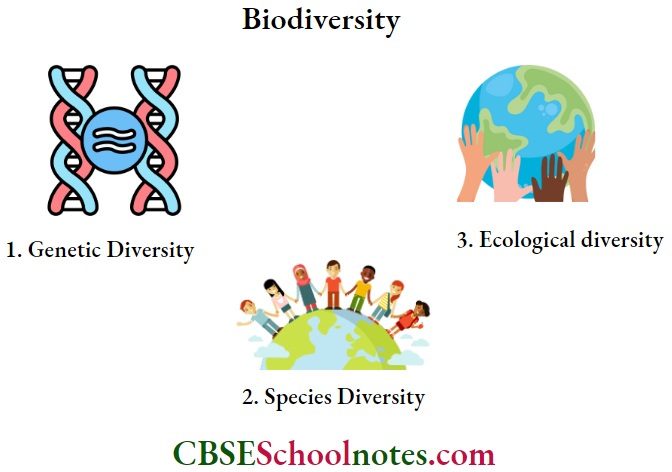 CBSE Class 12 BioIogy Chapter 13 Biodiversity And Conservation Components Of Biodiversity