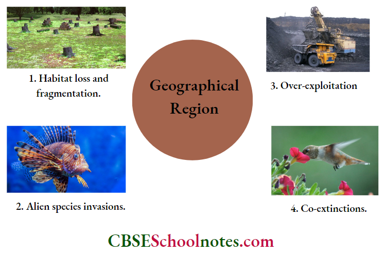 CBSE Class 12 BioIogy Chapter 13 Biodiversity And Conservation Geographical Region