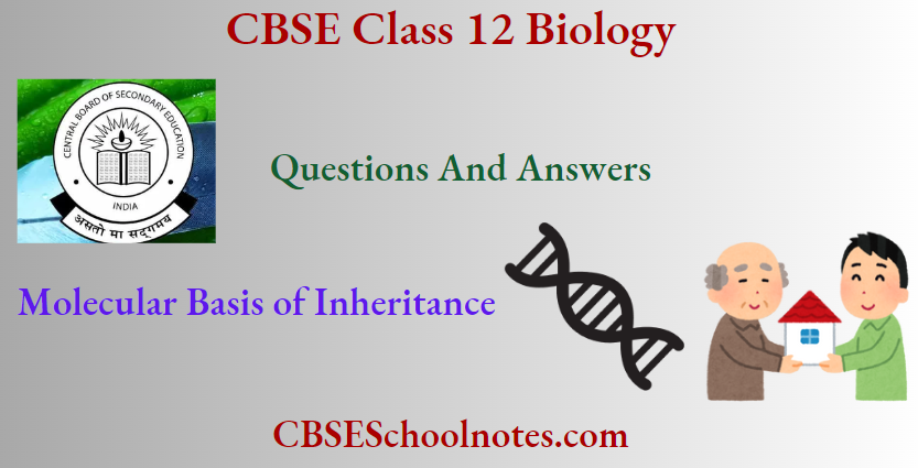 CBSE Class 12 BioIogy Chapter 5 Molecular Basis Of Inheritance Questions And Answers