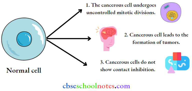 CBSE Class 12 BioIogy Chapter 7 Human Health And Disease Normal Cell