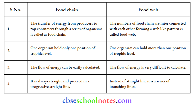 Ecosystem Difference Between Food Chain And Food Wevb