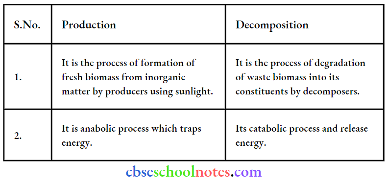 Ecosystem Difference Between Production And Decomposition