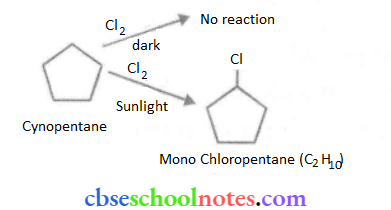 Haloalkanes And Haloarenes Mono Chlorocylopentane