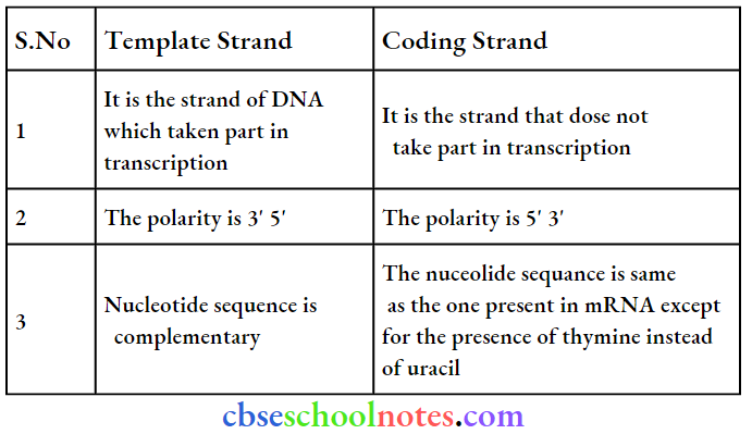 Molecular Basis Of Inheritance Repetitive Template Strand And Coding Strand