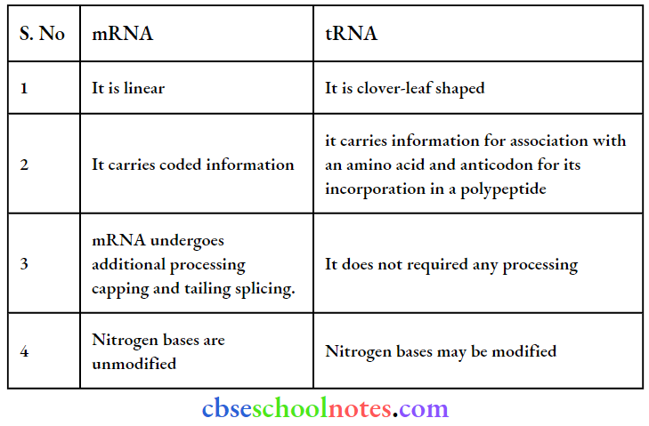 Molecular Basis Of Inheritance Repetitive mRNA And tRNA