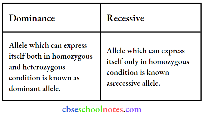 Principles Of Inheritance And Variation Difference Between Dominance And Recessive