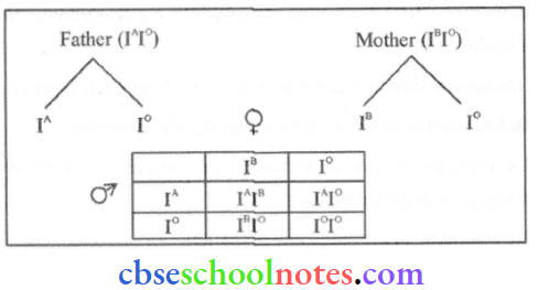 Principles Of Inheritance And Variation Genotype Of The parents