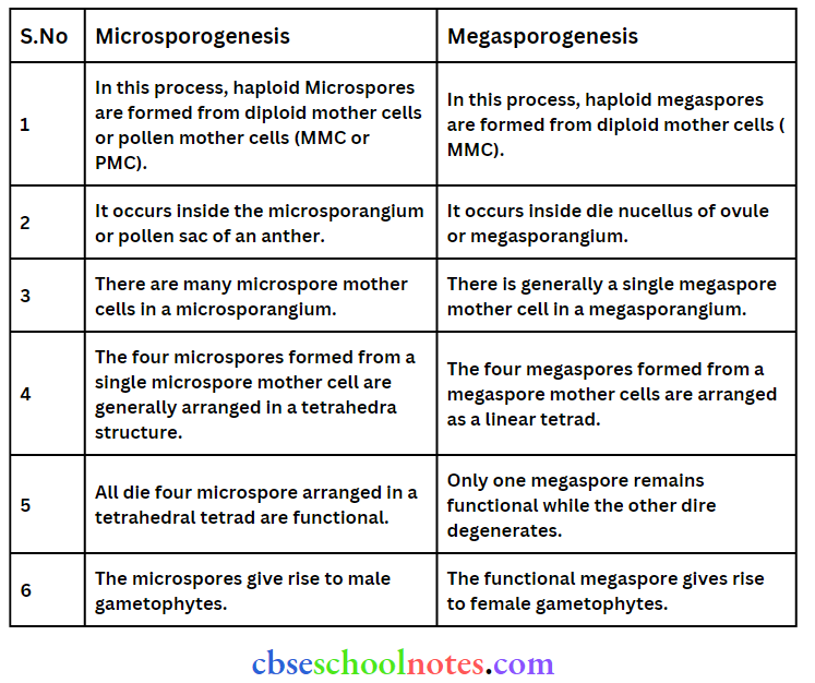 Sexual Reproduction In Flowering Plants Microsporogenesis And Megasporogenesis