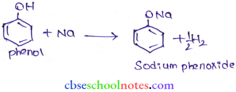 Alcohol Phenol And Ether Phenol And Sodium Phenoxide