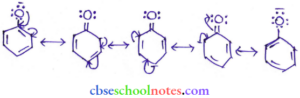 Important Questions for Class 12 Chemistry Chapter 7 Alcohols, Phenols ...