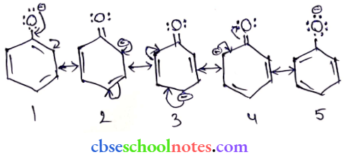 Aldehyde Ketones And Carboxylic Acids Phenoxic Ion