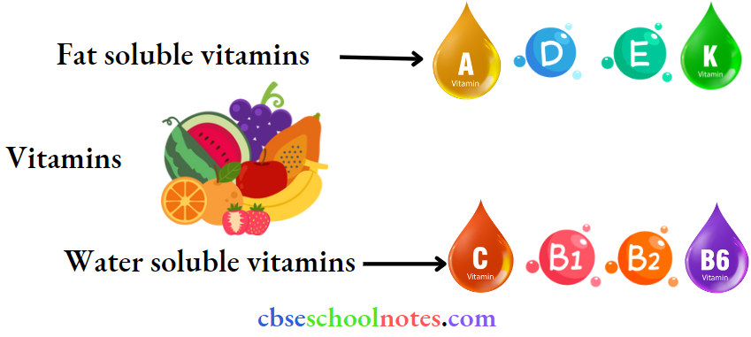 Biomolecules Vitamins Classified