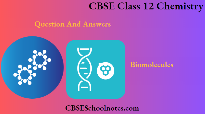 CBSE Class 12 Chemistry Chapter 10 Biomolecules Question And Answers