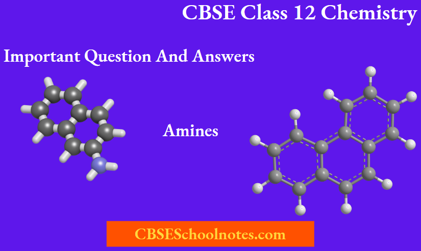 CBSE Class 12 Chemistry Chapter 9 Amines Important Question And Answers