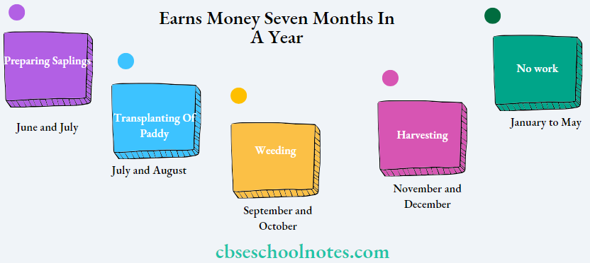 CBSE Class 6 Civics Earn Money Seven Months In A Year