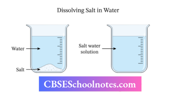 CBSE Notes Class 6 Science Chapter 3 Separation Of Substances Dissolving Salt In Water
