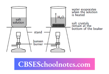 CBSE Notes Class 6 Science Chapter 3 Separation Of Substances Effect Of Heating On Saturated Solution Of Salt And Water
