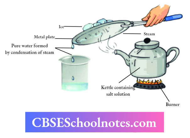 CBSE Notes Class 6 Science Chapter 3 Separation Of Substances Evaporation And Condensation