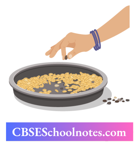 CBSE Notes Class 6 Science Chapter 3 Separation Of Substances Handpicking Stones From Grains