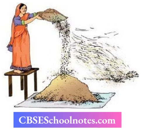 CBSE Notes Class 6 Science Chapter 3 Separation Of Substances Sepration of husk from wheat grains by winnowing