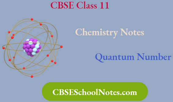 CBSE Notes For Class 11 Chemistry Quantum Number