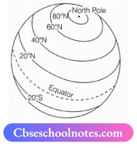 CBSE Notes For Class 6 Geography Social Science Chapter 2 Globe Latitudes And Longitudes Latitude