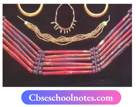 CBSE Notes For Class 6 History Social Science Chapter 3 In The Earliest Cities Beads Many of these were made out of Carnelian