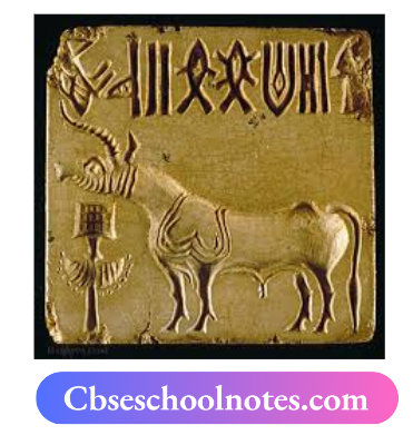 CBSE Notes For Class 6 History Social Science Chapter 3 In The Earliest Cities Harappan Seal