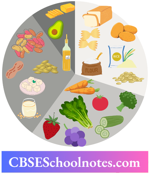 CBSE Notes For Class 6 Science Chapter 1 A balanced Diet