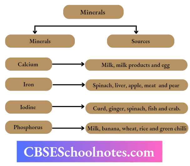 CBSE Notes For Class 6 Science Chapter 1 Minerals